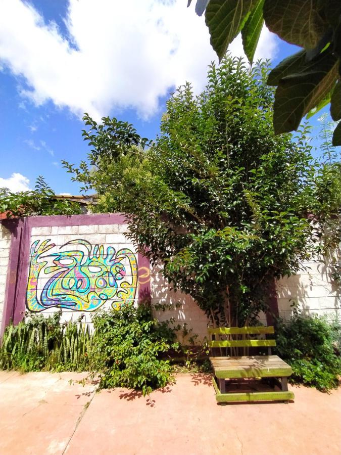 Lipi House Hostel ซานกริสโตบัล เด ลาสกาซาส ภายนอก รูปภาพ