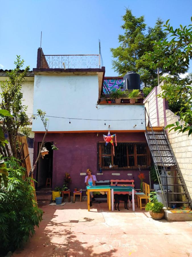 Lipi House Hostel ซานกริสโตบัล เด ลาสกาซาส ภายนอก รูปภาพ