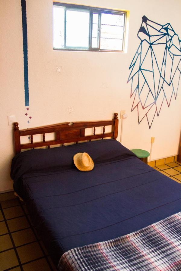 Lipi House Hostel ซานกริสโตบัล เด ลาสกาซาส ภายนอก รูปภาพ