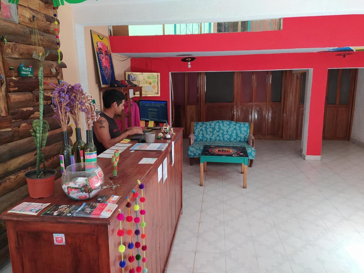 Lipi House Hostel ซานกริสโตบัล เด ลาสกาซาส ภายนอก รูปภาพ