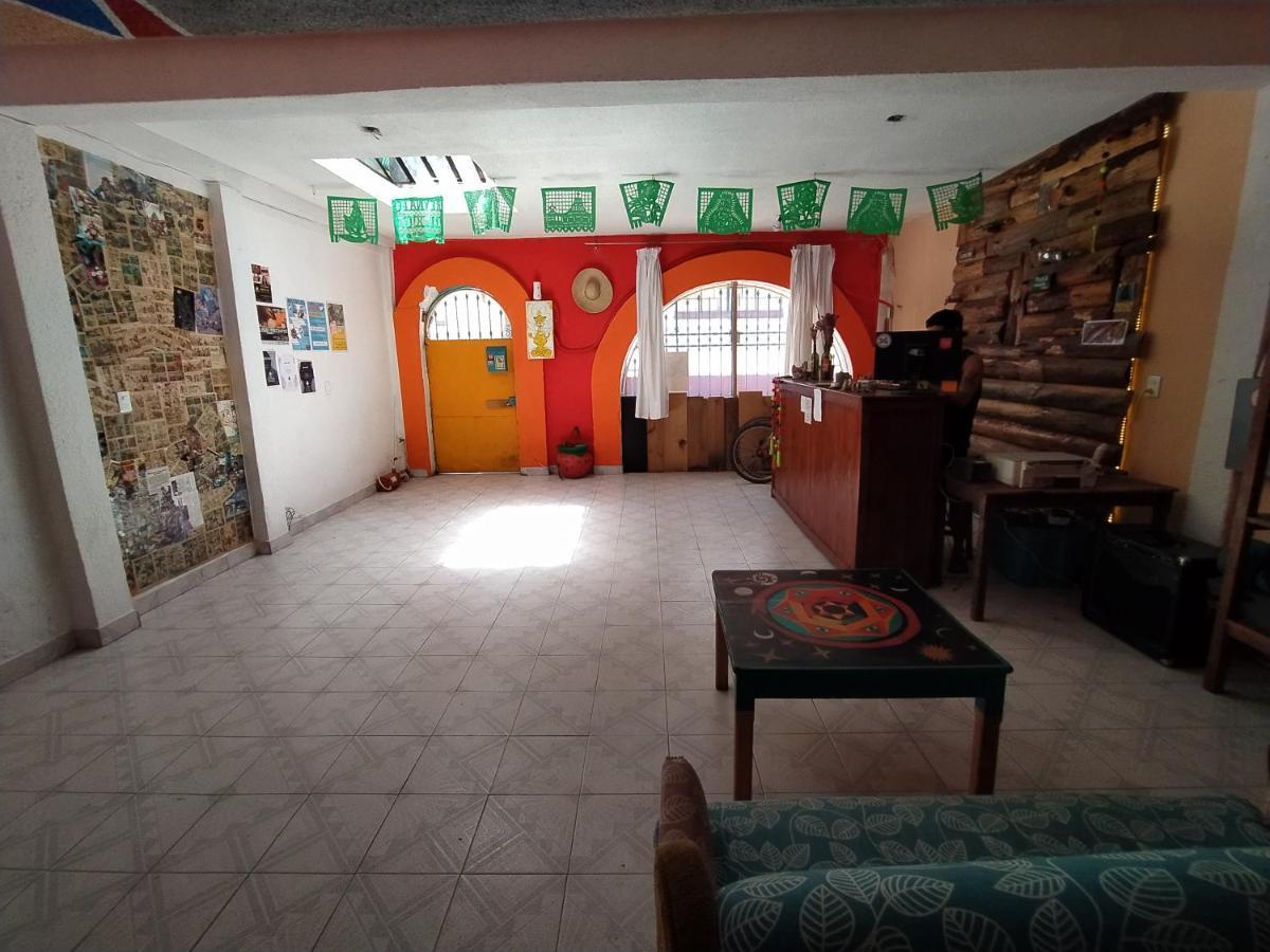 Lipi House Hostel ซานกริสโตบัล เด ลาสกาซาส ภายนอก รูปภาพ